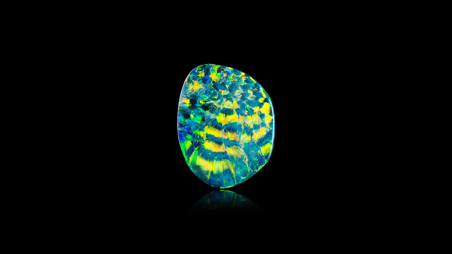 Opal (var. Black Opal) - image 1