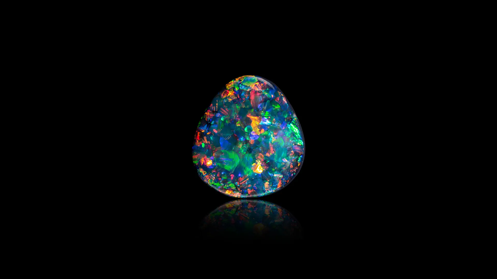 Opal (var. Black Opal) - image 1