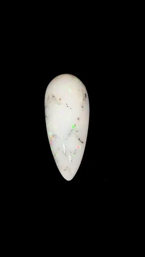 specimen video