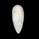 specimen video