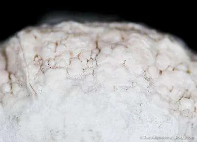 Opal Var. Geyserite - image 2