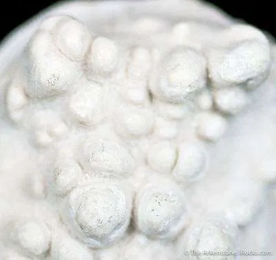 Opal Var. Geyserite - image 2