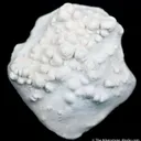 Opal Var. Geyserite - image 1