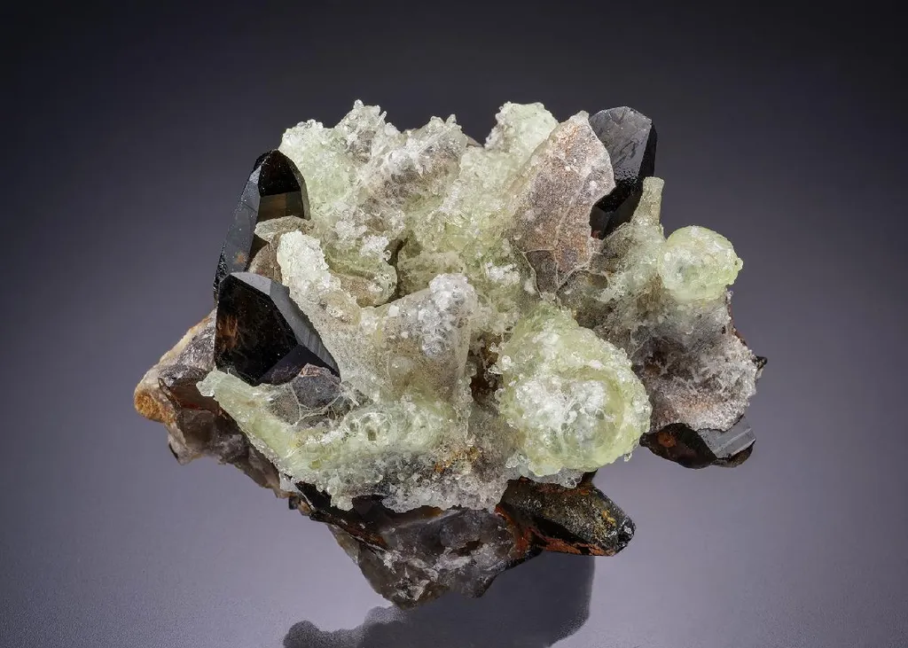 Opal var. Hyalite on Smoky Quartz image