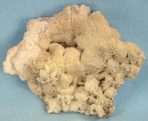 Opal (Var: Opal-An) image