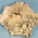 Opal (Var: Opal-An) - image 1