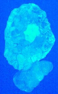 Opal (Var: Opal-An) - image 2