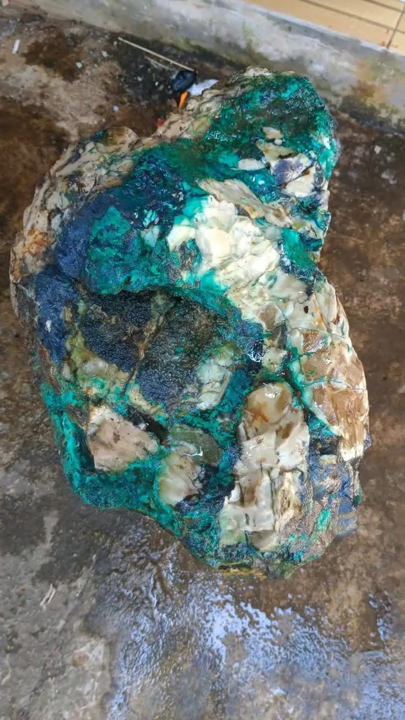 opalized - image 2