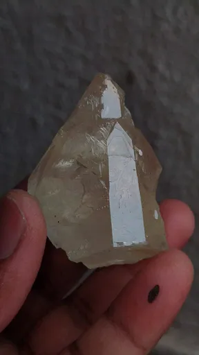 specimen video