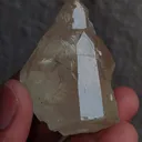 specimen video