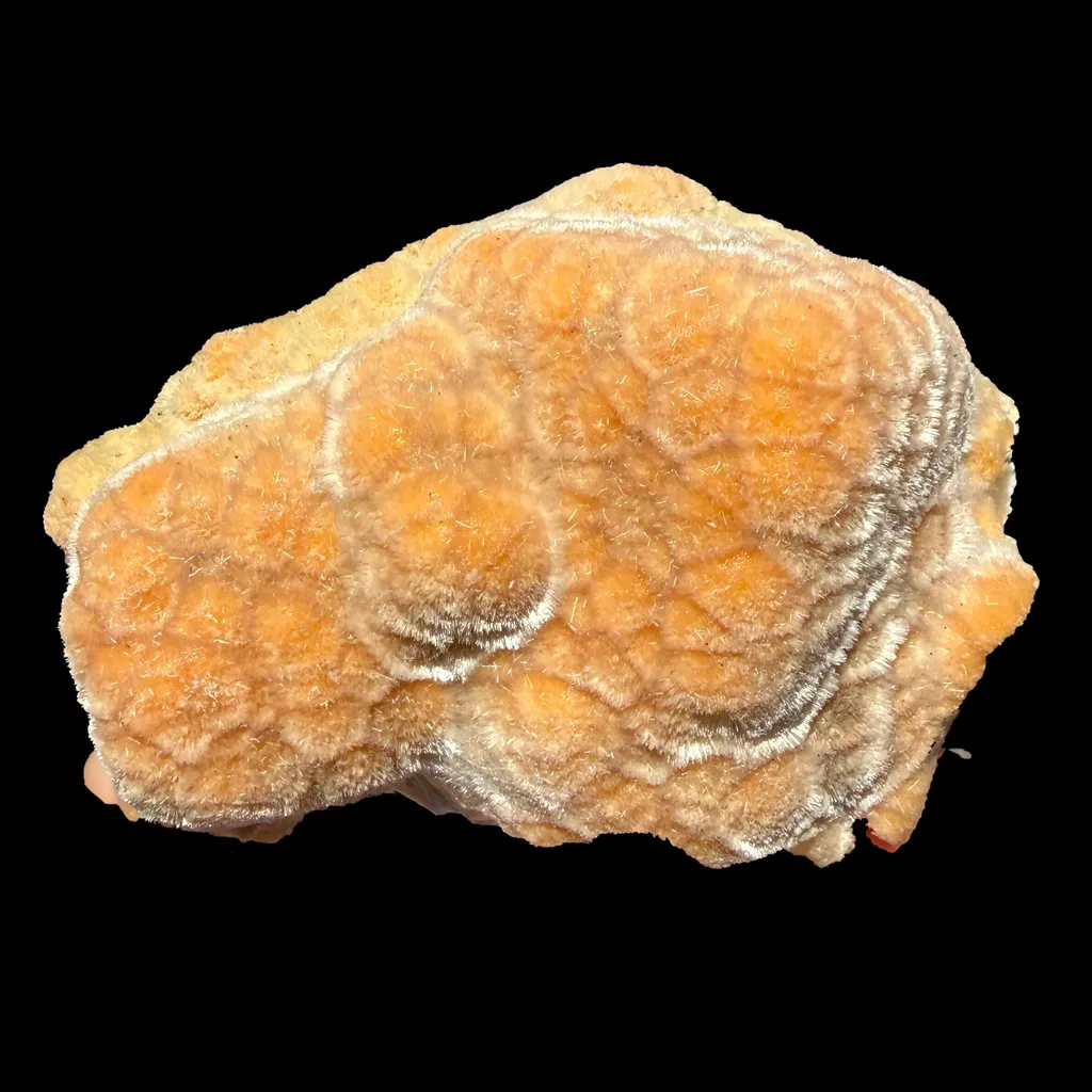 Orange Botryoidal Thomsonite with Needle Mesolite & Calcite – Indian Zeolite Mineral Specimen from Madhya Pradesh image