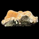 Orange Botryoidal Thomsonite with Needle Mesolite & Calcite – Indian Zeolite Mineral Specimen from Madhya Pradesh - image 5