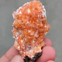 Orange Heulendite On Okenite - image 7