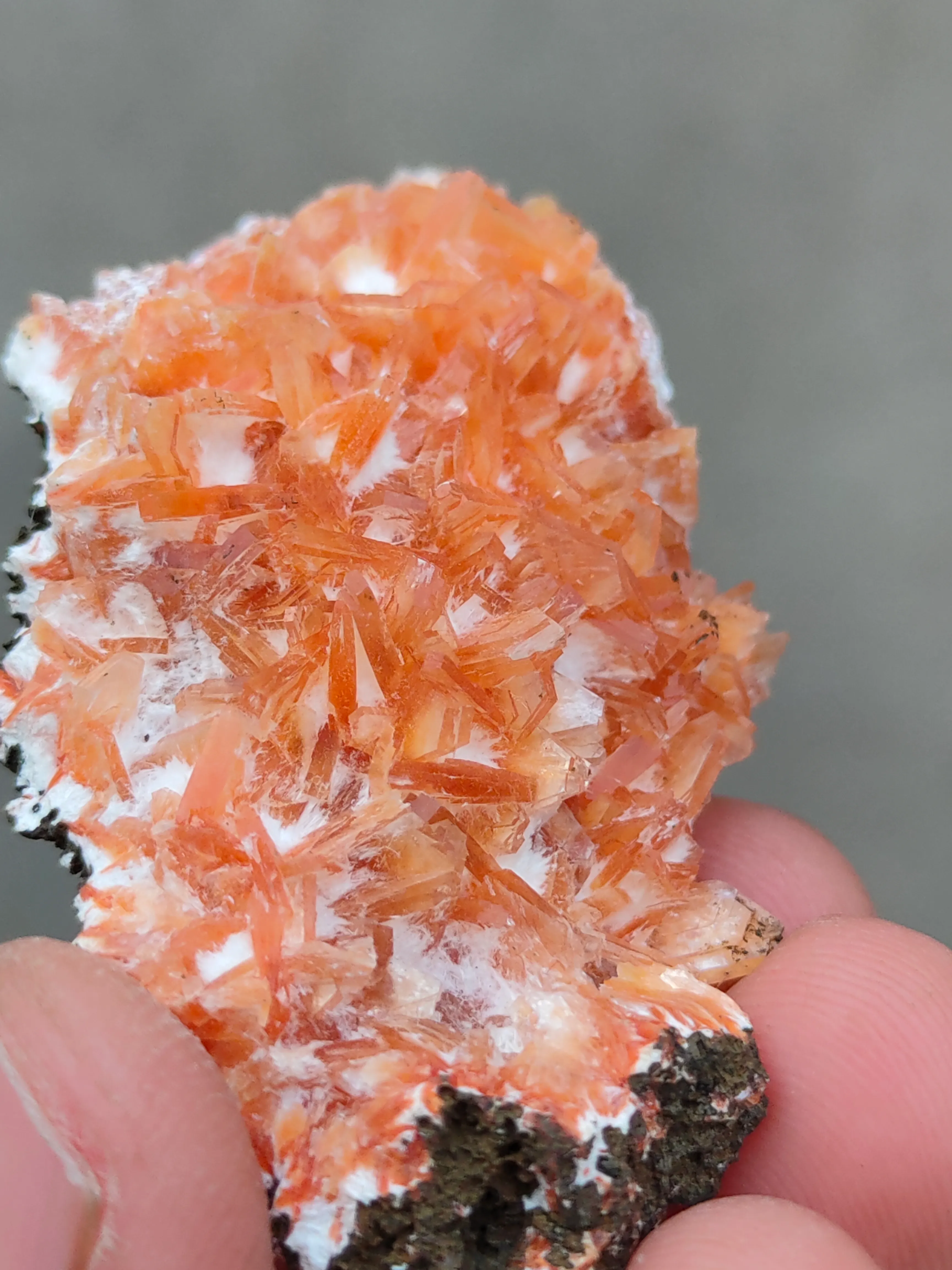 Orange Heulendite On Okenite - image 5