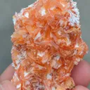 Orange Heulendite On Okenite - image 3