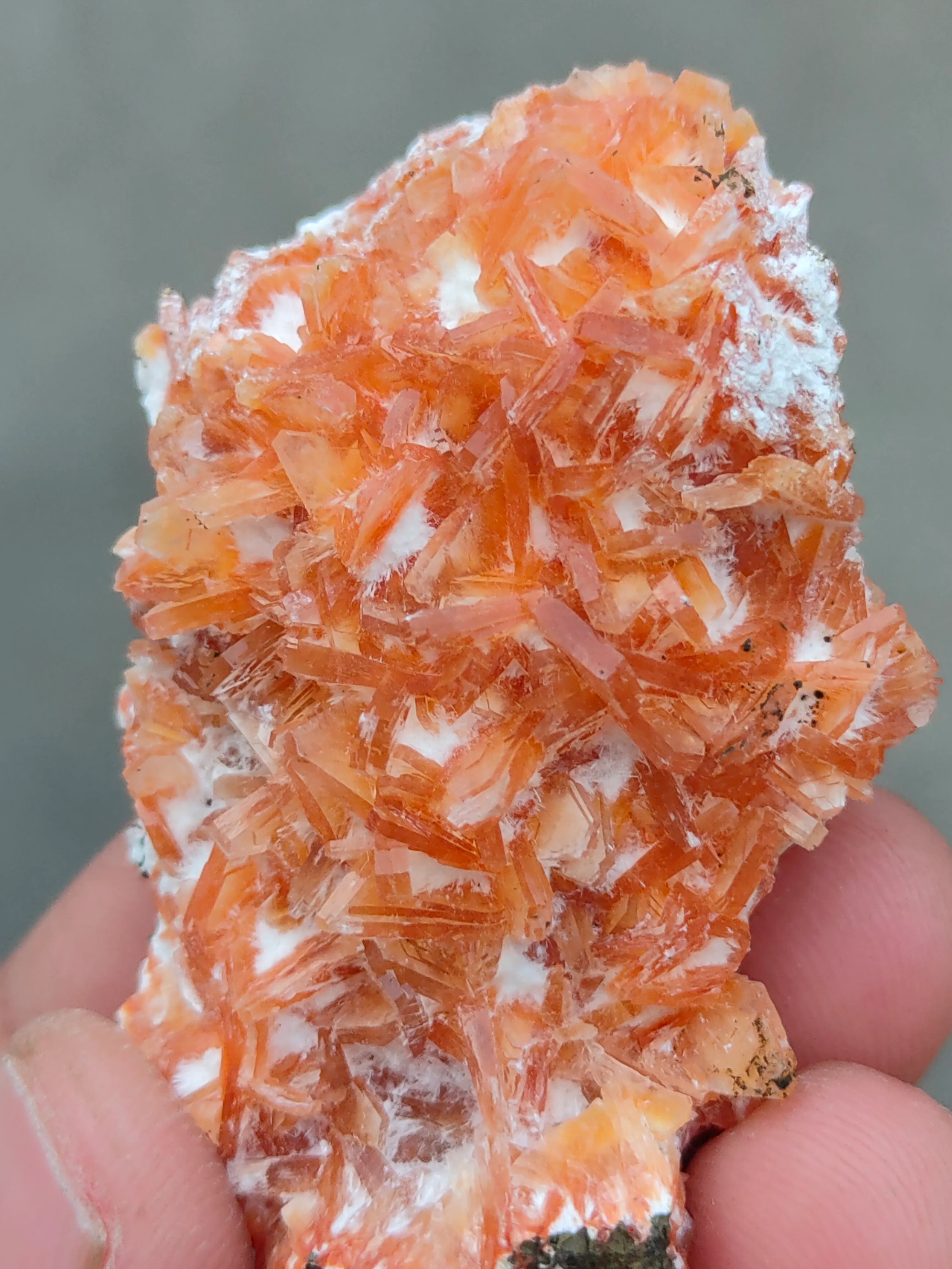 Orange Heulendite On Okenite - image 3
