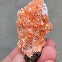 Orange Heulendite On Okenite - image 2
