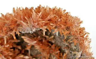 Orange Prehnite - image 2