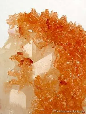 Orange Prehnite on Calcite - image 2