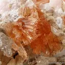 Orange Prehnite With Calcite - image 2