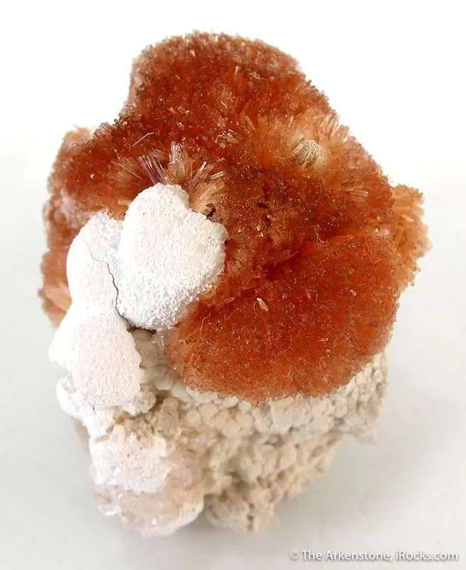 Orange Prehnite With Xonotlite - image 1