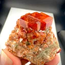 specimen video