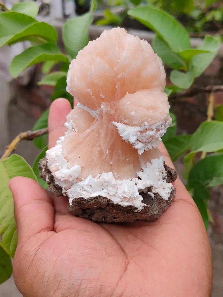Orange Stilbite bow with Laumontite From India - image 6