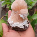 Orange Stilbite bow with Laumontite From India - image 6