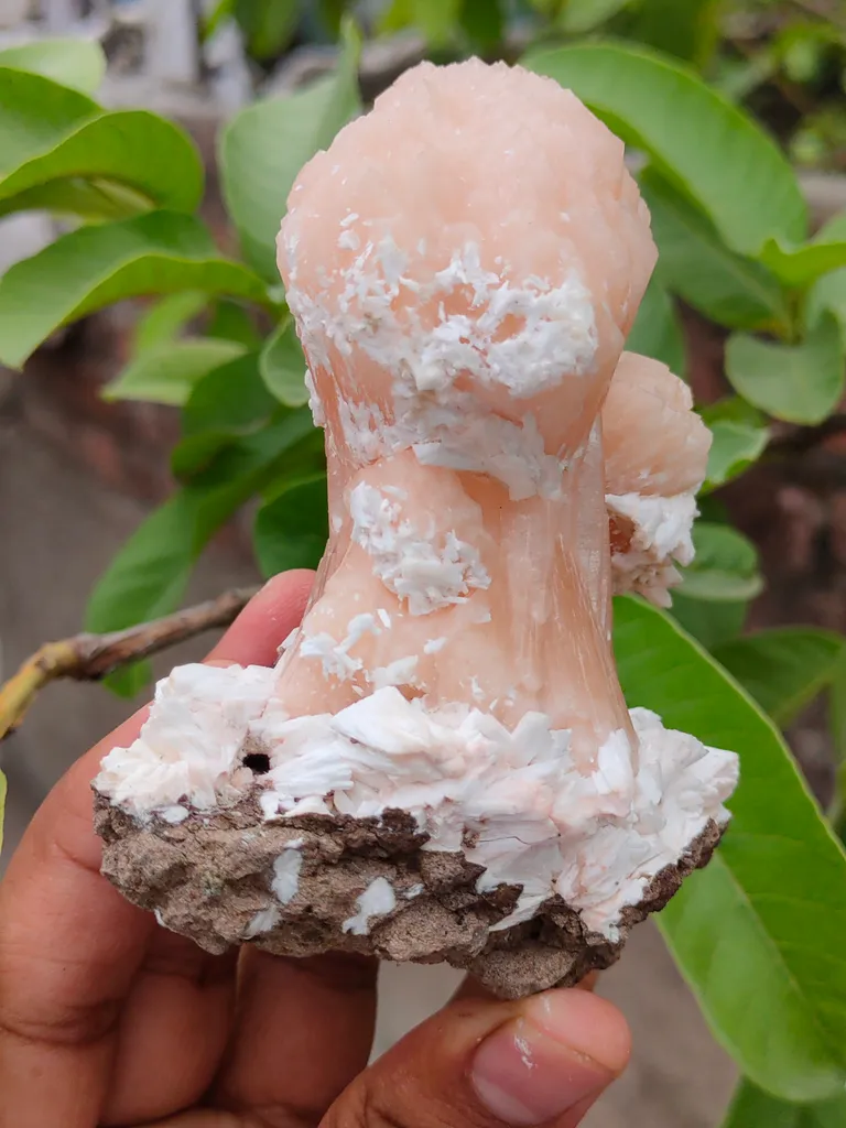 Orange Stilbite bow with Laumontite From India - image 5