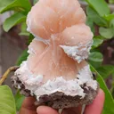 Orange Stilbite bow with Laumontite From India - image 3