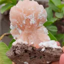 Orange Stilbite bow with Laumontite From India - image 4