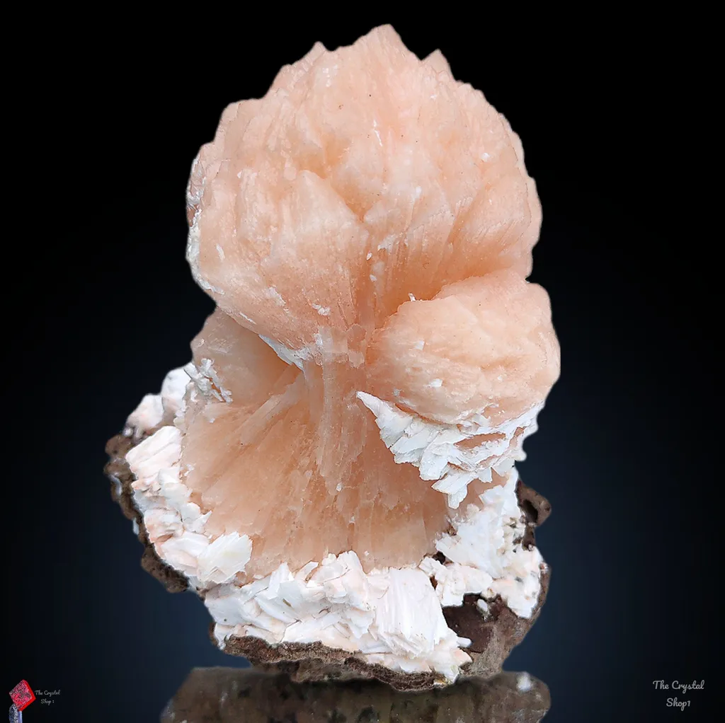 Orange Stilbite bow with Laumontite From India image