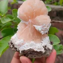 Orange Stilbite bow with Laumontite From India - image 2