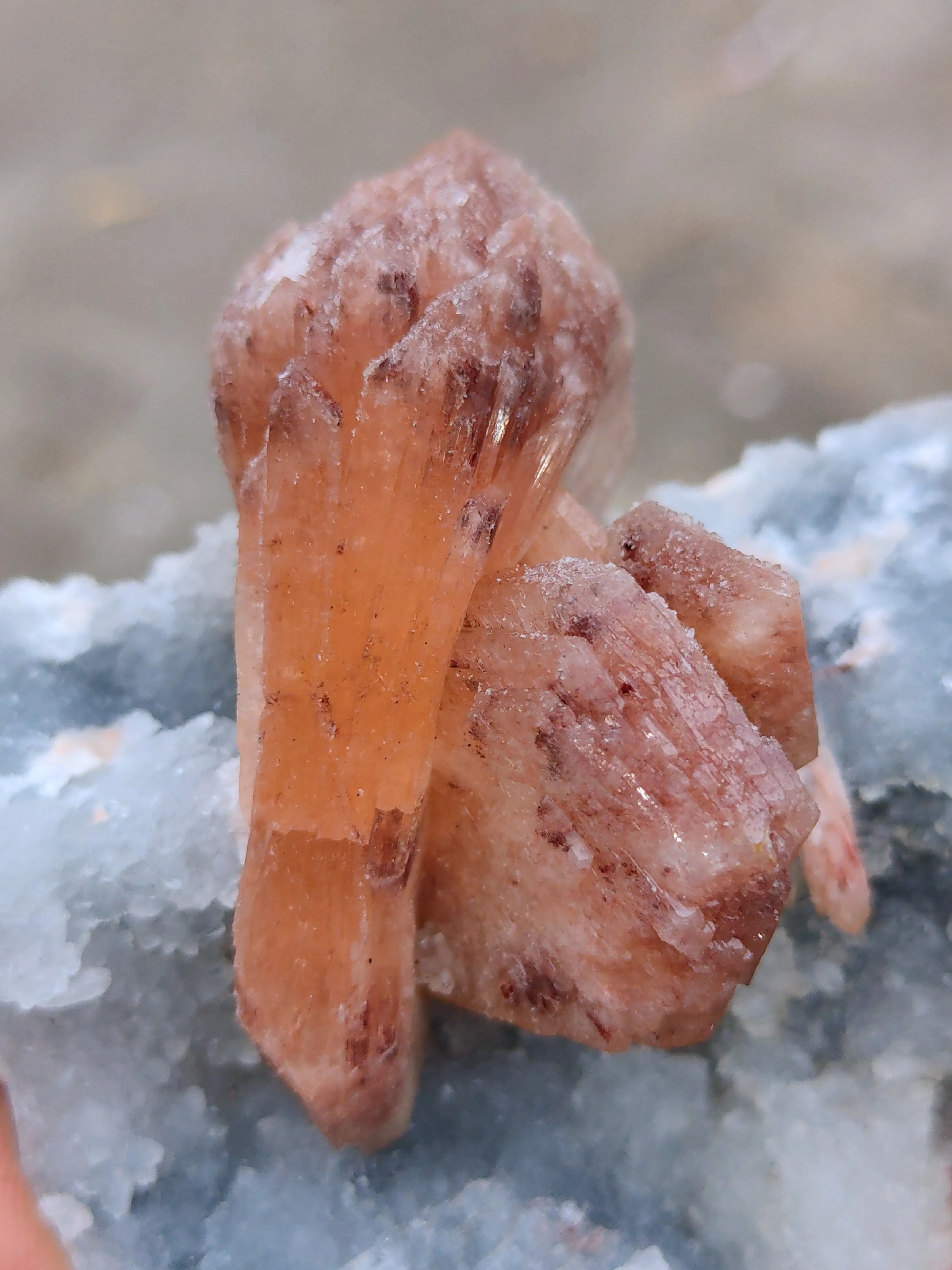 Orange Stilbite on Quartz - image 3