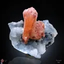Orange Stilbite on Quartz - image 1
