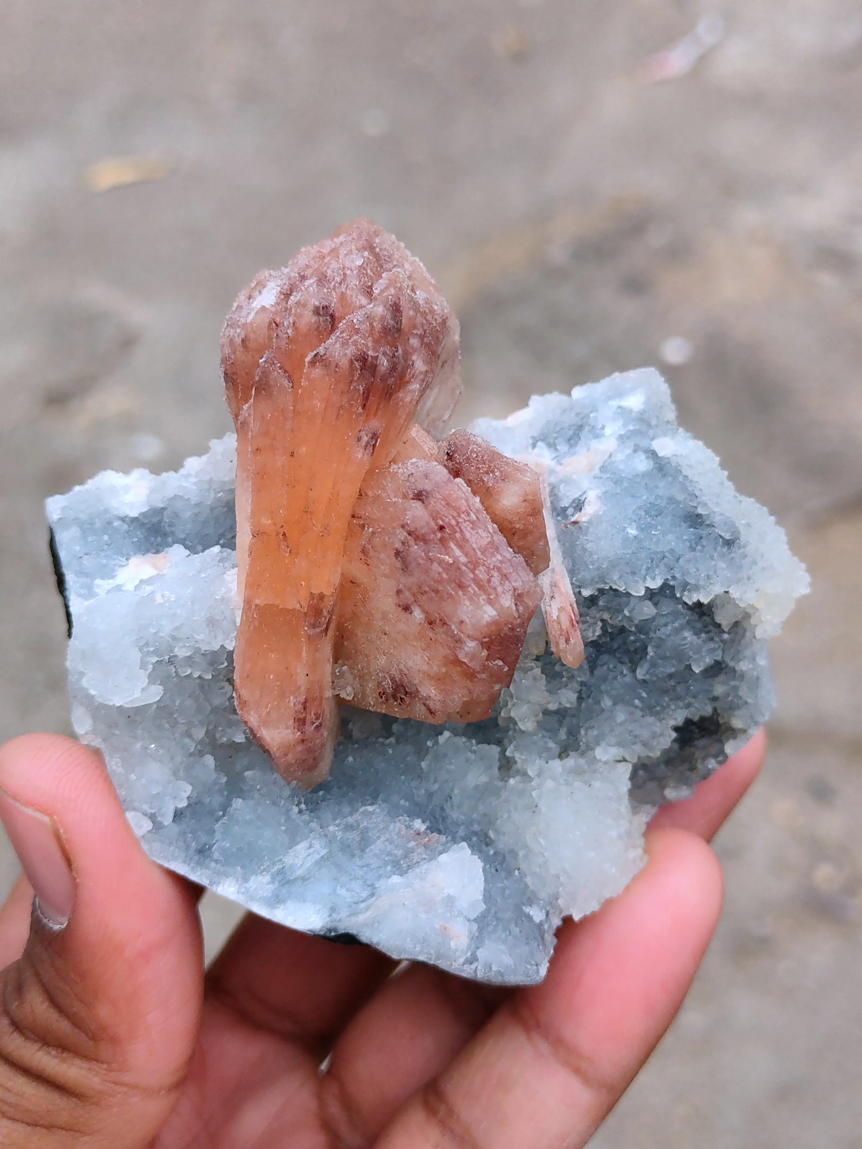 Orange Stilbite on Quartz - image 5