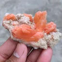 Orange Stilbite With Prehnite. Natural Mineral specimen. - image 4