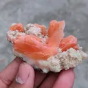 Orange Stilbite With Prehnite. Natural Mineral specimen. - image 2