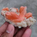 Orange Stilbite With Prehnite. Natural Mineral specimen. - image 6