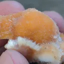 Orange Thomsonite ball from India - image 7