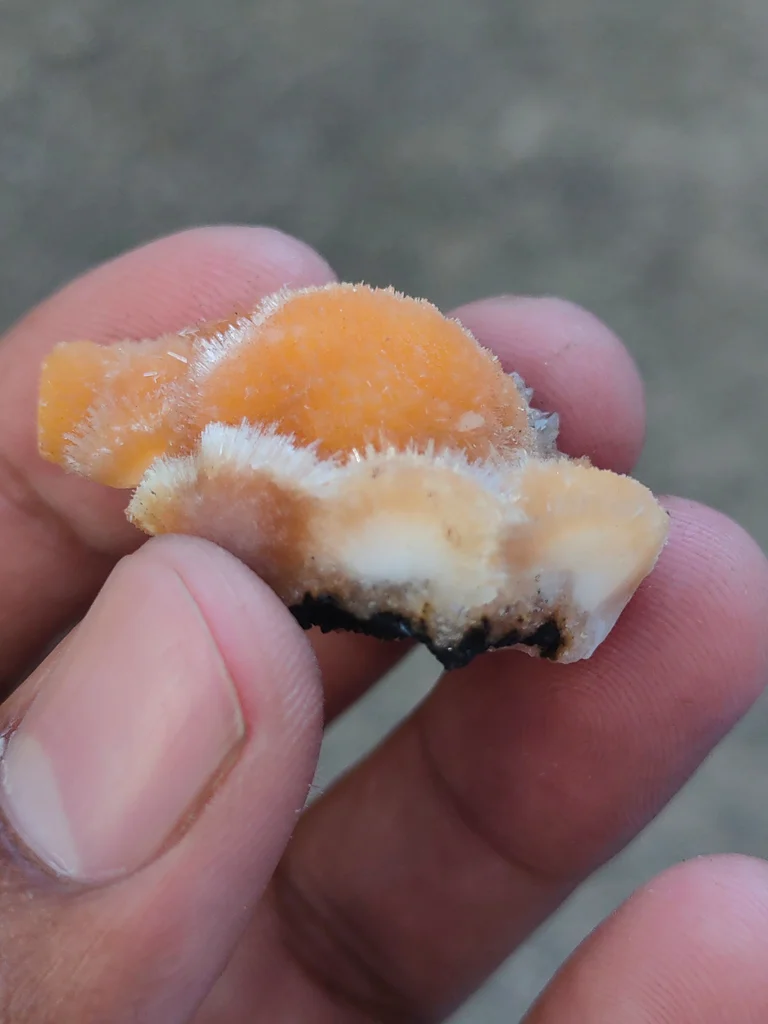 Orange Thomsonite ball from India - image 4