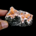 Orange Thomsonite with Mesolite in Perky Box – Rare Indian Zeolite Mineral Specimen from Madhya Pradesh,India - image 5