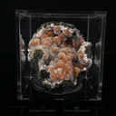 Orange Thomsonite with Mesolite Natural Mineral Specimen from Madhya Pradesh - image 5