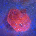 Orange UV Calcite - image 2
