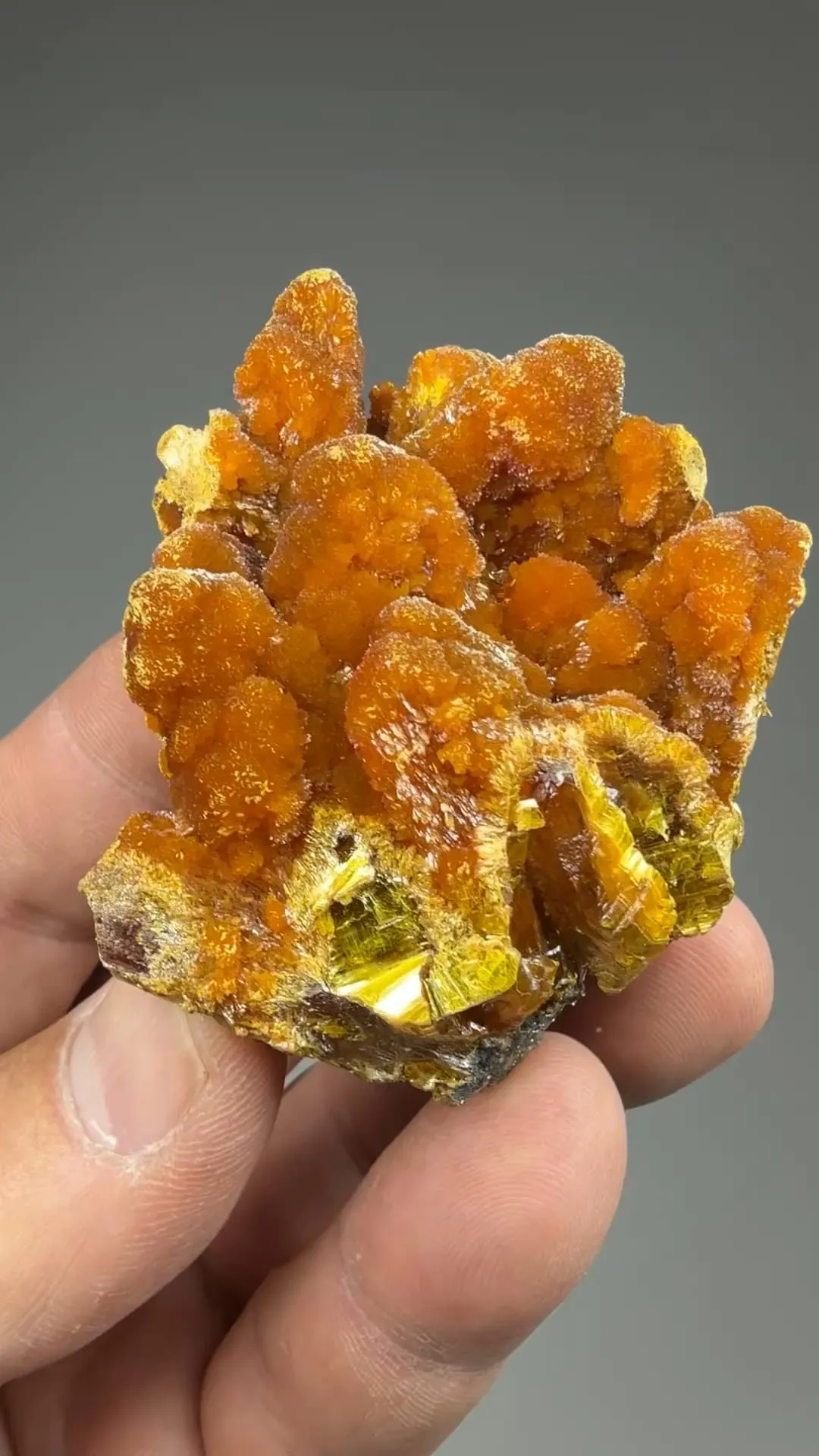 Orpiment - image 2