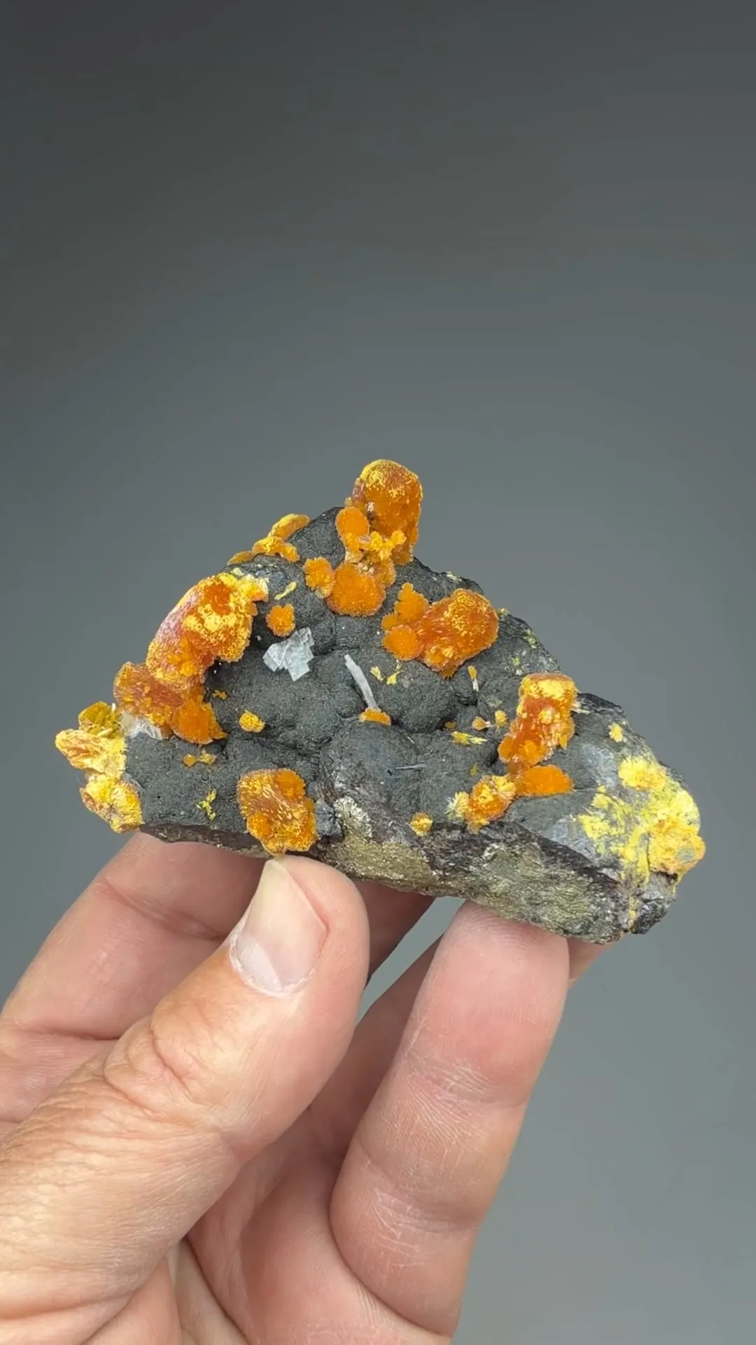 Orpiment with Hutchinsonite, Barite - image 2