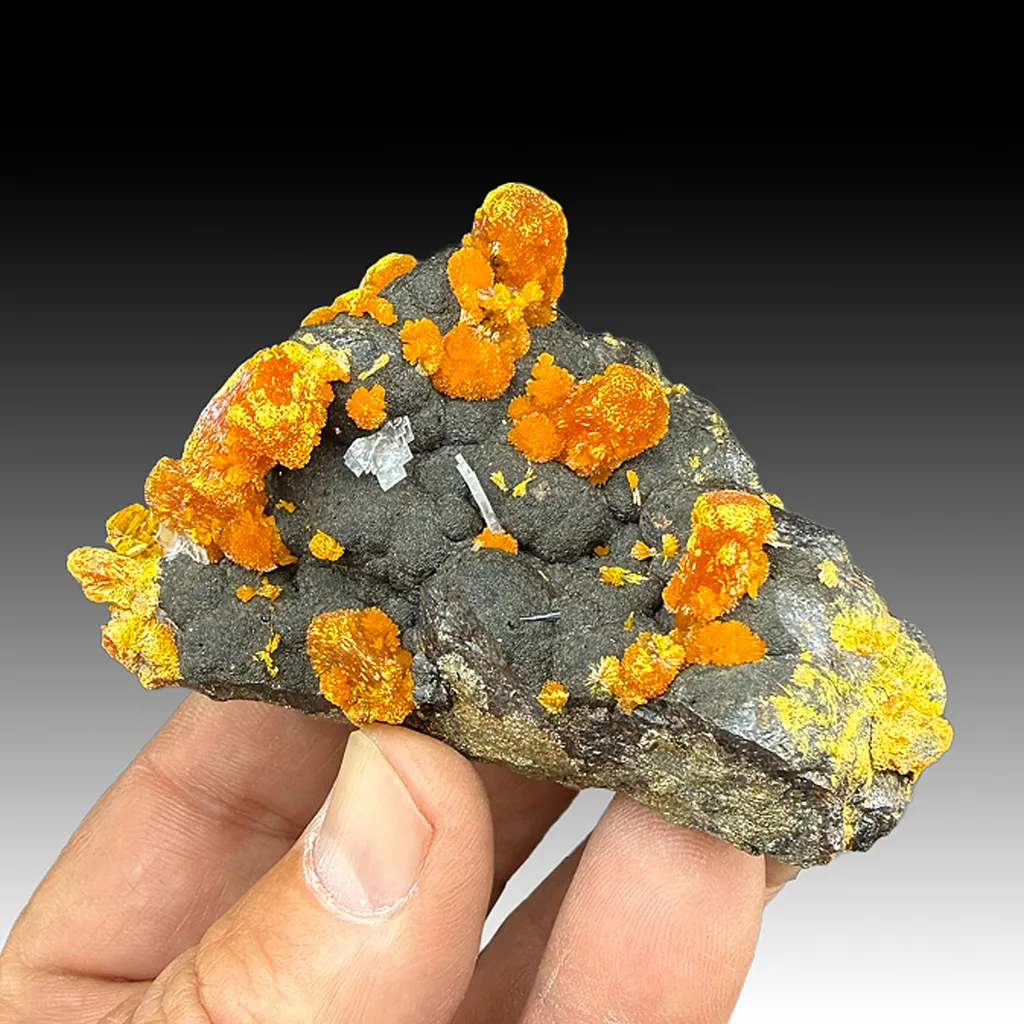 Orpiment with Hutchinsonite, Barite image