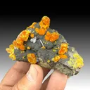 Orpiment with Hutchinsonite, Barite - image 1