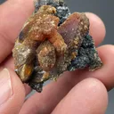 Orpiment with Hutchinsonite, Pyrite - image 2