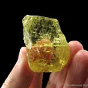 Orthoclase Feldspar var. Sanidine - image 3